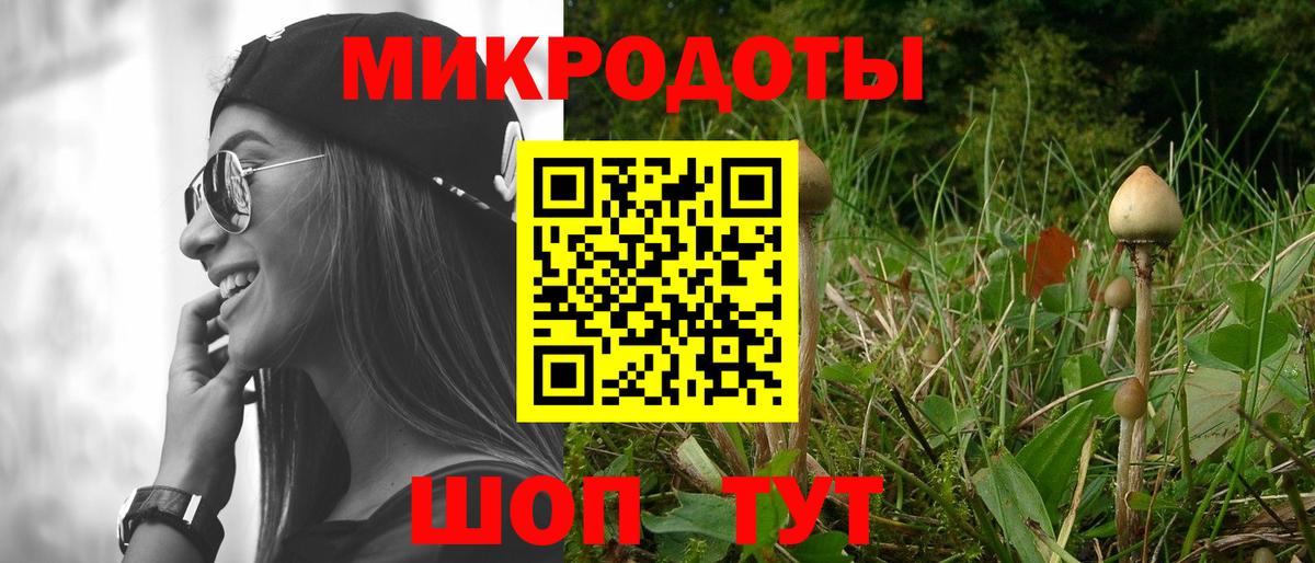 Псилоцибиновые грибы GOLDEN TEACHER Медногорск