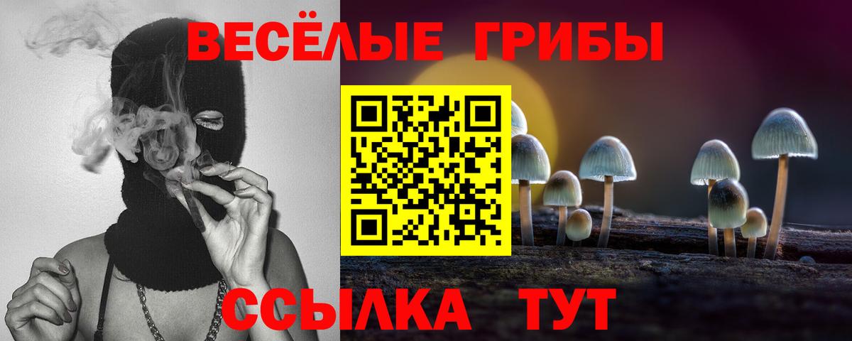 Медногорск  Галлюциногенные грибы ЛСД  Галлюциногенные грибы мицелий  Вход с VPN 